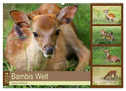 Bambis Welt (Wandkalender 2024 DIN A2 quer), CALVENDO Monatskalender