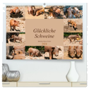 Glückliche Schweine Berkshire-Iberico Ferkel (hochwertiger Premium Wandkalender 2024 DIN A2 quer), Kunstdruck in Hochglanz