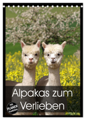 Alpakas zum Verlieben (Tischkalender 2024 DIN A5 hoch), CALVENDO Monatskalender