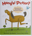 Hangisi Pirtlar Ciltli