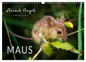 Kleiner Nager - Maus (Wandkalender 2024 DIN A3 quer), CALVENDO Monatskalender
