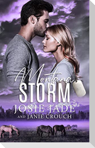 Montana Storm