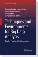 Techniques and Environments for Big Data Analysis