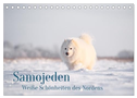 Samojeden - Liebenswerte Fellkugeln (Tischkalender 2025 DIN A5 quer), CALVENDO Monatskalender