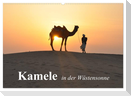 Kamele in der Wüstensonne (Wandkalender 2024 DIN A2 quer), CALVENDO Monatskalender