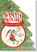 Santa Mouse Christmas Surprise