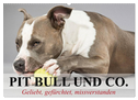 Pit Bull und Co. - Geliebt, gefürchtet, missverstanden (Wandkalender 2024 DIN A2 quer), CALVENDO Monatskalender