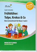 Frühblüher: Tulpe, Krokus & Co