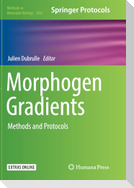 Morphogen Gradients