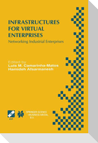 Infrastructures for Virtual Enterprises