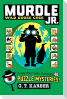 Murdle Jr.: Wild Goose Case