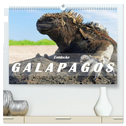 Entdecke Galapagos (hochwertiger Premium Wandkalender 2025 DIN A2 quer), Kunstdruck in Hochglanz