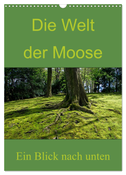 Die Welt der Moose. Ein Blick nach unten (Wandkalender 2024 DIN A3 hoch), CALVENDO Monatskalender