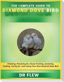 The Complete Guide to Diamond Dove Bird