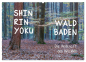 Shinrin yoku - Waldbaden 2024 (Wandkalender 2024 DIN A2 quer), CALVENDO Monatskalender