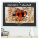 LAUFKÄFER - CARABIDAE (hochwertiger Premium Wandkalender 2024 DIN A2 quer), Kunstdruck in Hochglanz