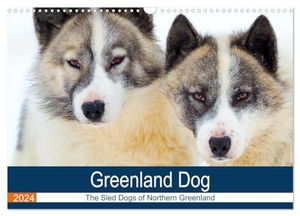 Zwick, Martin. Greenland Dog - The Sled Dogs of Northern Greenland (Wall Calendar 2024 DIN A3 landscape), CALVENDO 12 Month Wall Calendar - A portrait of an arctic dog race. Calvendo, 2023.