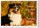 Bekannt wie ein bunter Hund. Australian Shepherd (Tischkalender 2024 DIN A5 quer), CALVENDO Monatskalender