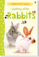 Looking after Rabbits