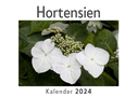 Hortensien (Wandkalender 2024, Kalender DIN A4 quer, Monatskalender im Querformat mit Kalendarium, Das perfekte Geschenk)