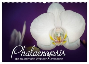 Strehl, Deborah. Phalaenopsis - die zauberhafte Welt der Orchideen (Wandkalender 2024 DIN A2 quer), CALVENDO Monatskalender - Eine kleine zauberhafte Auswahl meiner Orchideen-Familie.. Calvendo Verlag, 2023.
