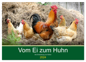 Vom Ei zum Huhn. Die Entwicklung von Küken (Wandkalender 2024 DIN A3 quer), CALVENDO Monatskalender