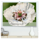 Blüteneleganz in Weiß (hochwertiger Premium Wandkalender 2024 DIN A2 quer), Kunstdruck in Hochglanz