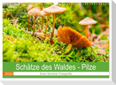 Schätze des Waldes - Pilze (Wandkalender 2024 DIN A3 quer), CALVENDO Monatskalender