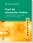 Praxis der chinesischen Medizin