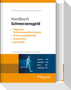 Handbuch Schmerzensgeld