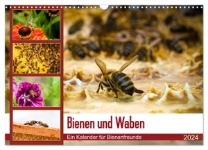 Wilms, Barbara. Bienen und Waben (Wandkalender 2024 DIN A3 quer), CALVENDO Monatskalender - Bienen auf Blüten und Waben.. Calvendo, 2023.