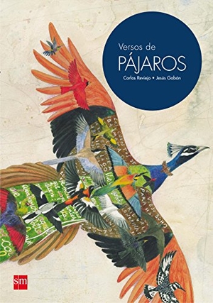 Reviejo, Carlos. Versos de pájaros. Fundación Santa María-Ediciones SM, 2016.