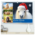 Kleine Pferde. Mini-Ponys zum verlieben (hochwertiger Premium Wandkalender 2024 DIN A2 quer), Kunstdruck in Hochglanz
