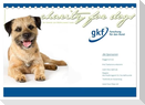 Charity for Dogs - der Kalender zum Wohle unserer Hunde (Tischkalender 2025 DIN A5 quer), CALVENDO Monatskalender