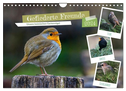 Gefiederte Freunde - Unsere heimischen Gartenvögel (Wandkalender 2024 DIN A4 quer), CALVENDO Monatskalender