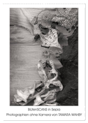 BlütenScans in Sepia, Photographien ohne Kamera von Tamara Wahby (Wandkalender 2025 DIN A2 hoch), CALVENDO Monatskalender
