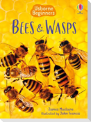 Bees and Wasps (Usborne Beginners)