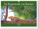 Im Regenwald von Borneo (Wandkalender 2024 DIN A3 quer), CALVENDO Monatskalender