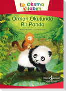 Orman Okulunda Bir Panda