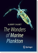 The Wonders of Marine Plankton