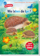 Sachwissen für Erstleser. Wie leben die Igel?
