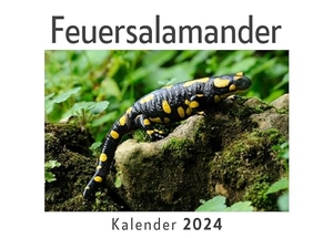 Müller, Anna. Feuersalamander (Wandkalender 2024, Kalender DIN A4 quer, Monatskalender im Querformat mit Kalendarium, Das perfekte Geschenk). 27amigos, 2023.