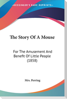 The Story Of A Mouse
