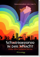 Schw¿einwerfer in der M¿Nacht