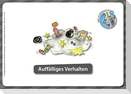 Kartenset Jugendhilfe - Die Klippensteiger