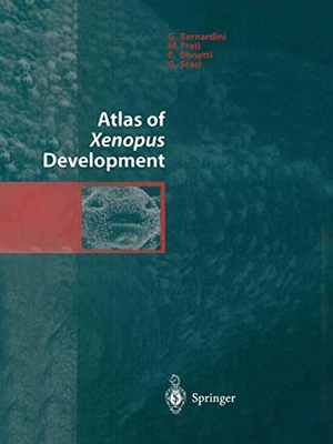 Bernardini, G. / Scari, G. et al. Atlas of Xenopus Development. Springer Milan, 2013.