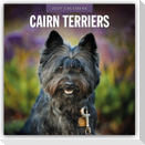 Cairn Terriers - Cairn Terrier 2027 - 16-Monatskalender