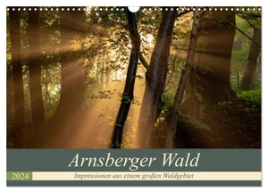 Franz Josef Hering. Arnsberger Wald (Wandkalender 2024 DIN A3 quer), CALVENDO Monatskalender - Impressionen aus einem großen Waldgebiet. Calvendo, 2023.