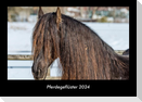 Pferdegeflüster 2024 Fotokalender DIN A3