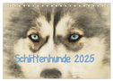 Schlittenhunde 2025 (Tischkalender 2025 DIN A5 quer), CALVENDO Monatskalender